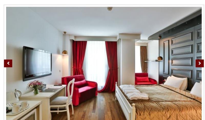 Senatus Hotel - Special Class Provincia di Provincia di Istanbul Esterno foto